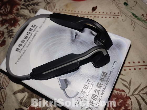 Bluetooth Headset.